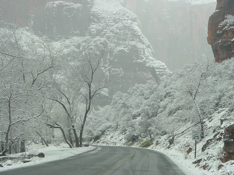Zion National Park - Zion National Park 1-05 501